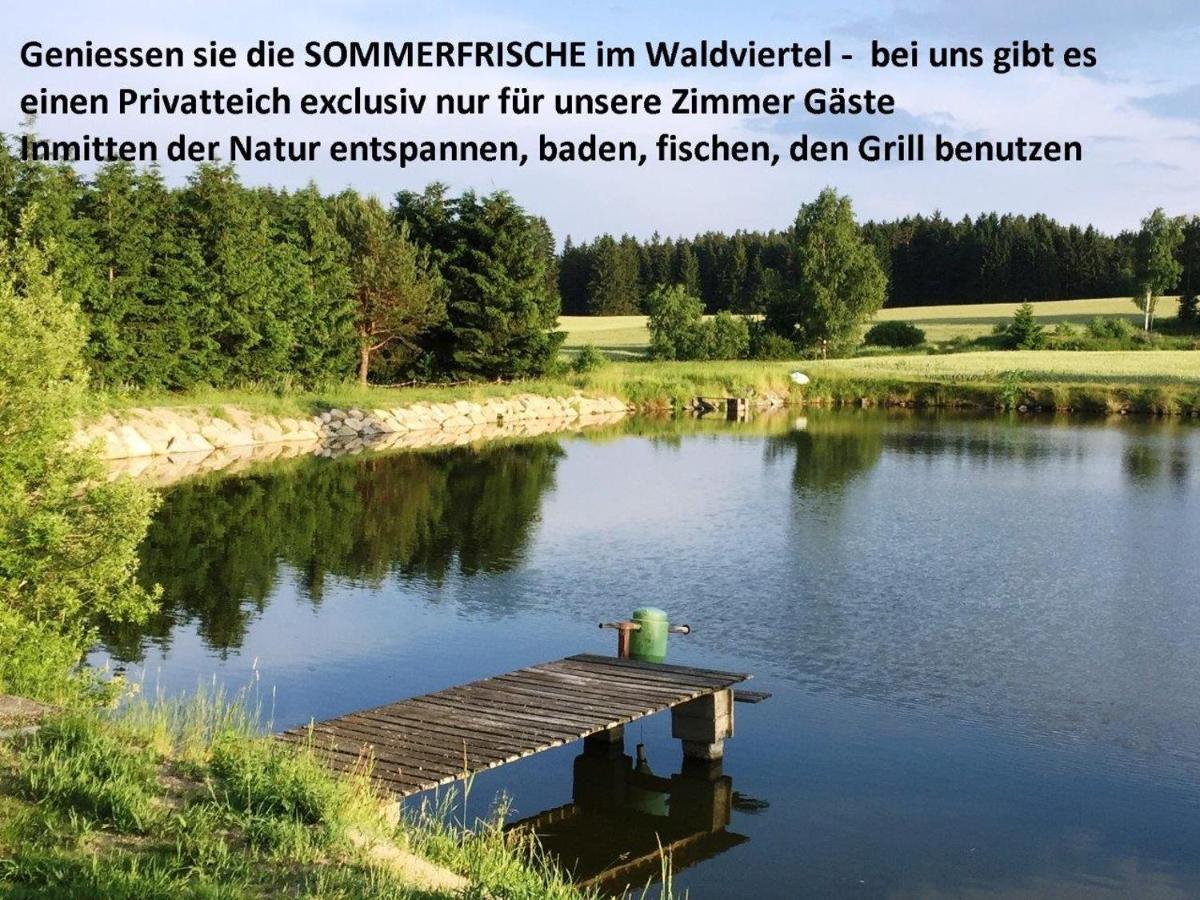 Sommerfrische Waldviertel Kirchberg am Walde المظهر الخارجي الصورة